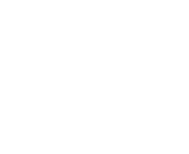 Diagram of the rear, straight on shot for car listing photos